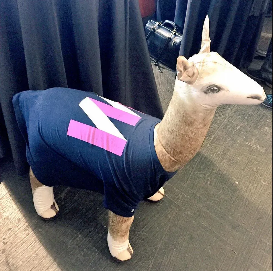 Mixmax llama Mixmax llama