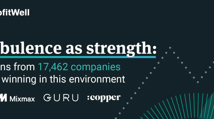 Turbulence as Strength, Webinar