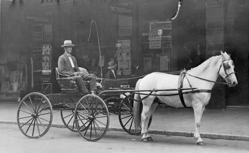 Old fashioned horse and cart